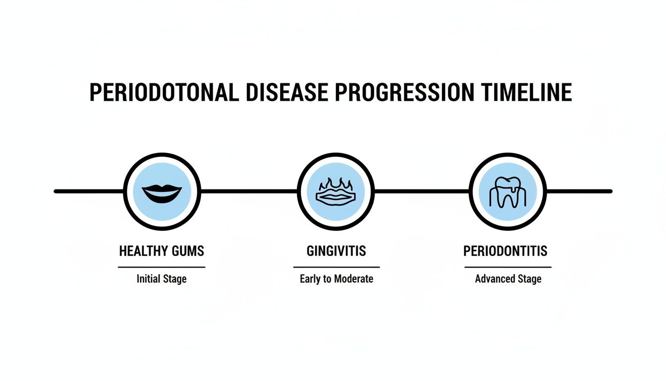 Timeline illustrating the progression of periodontal disease from healthy gums to gingivitis and periodontitis.